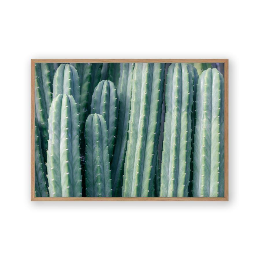 Cactus Print - Blim & Blum