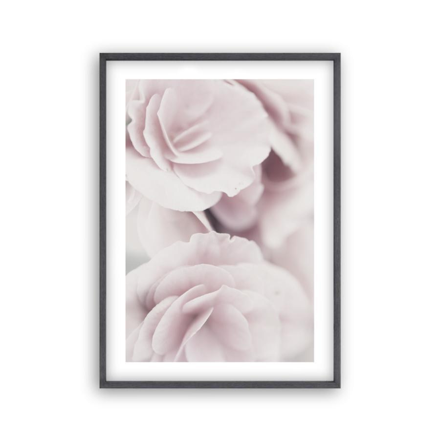 Dusty Rose Print - Blim & Blum