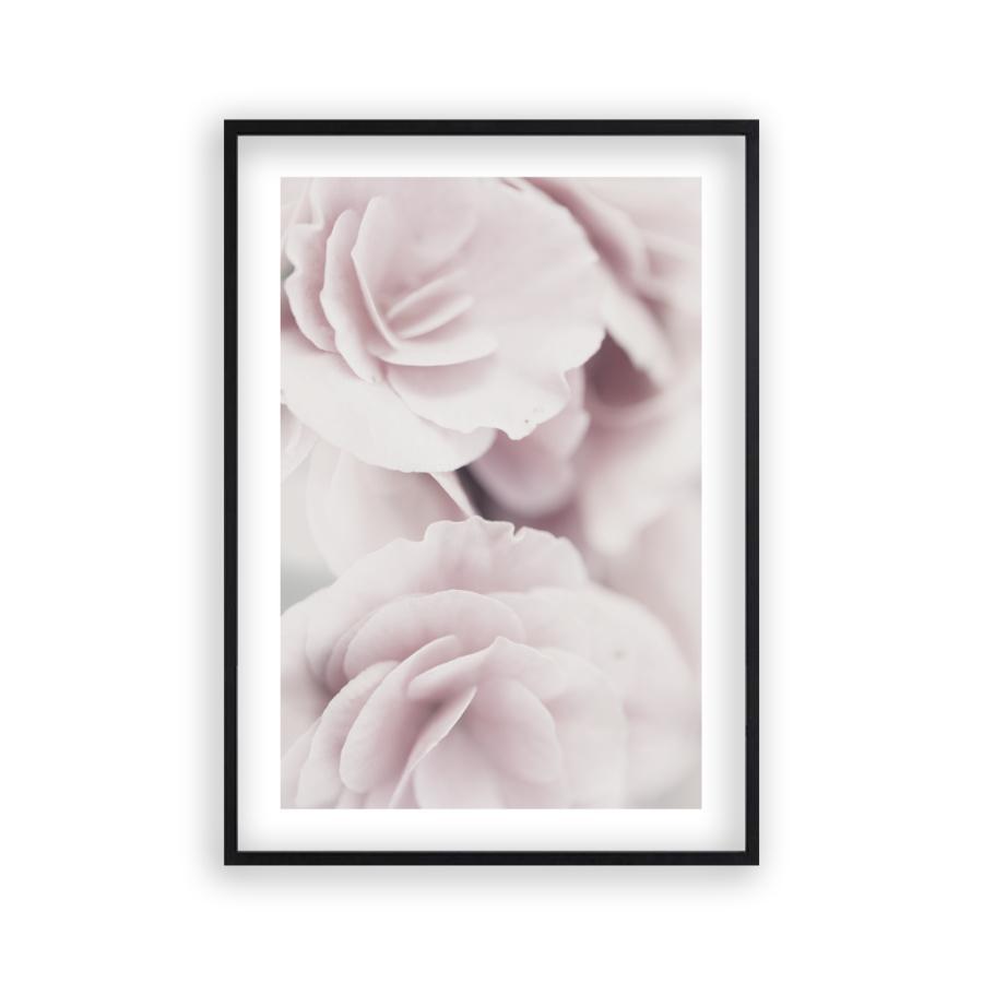 Dusty Rose Print - Blim & Blum