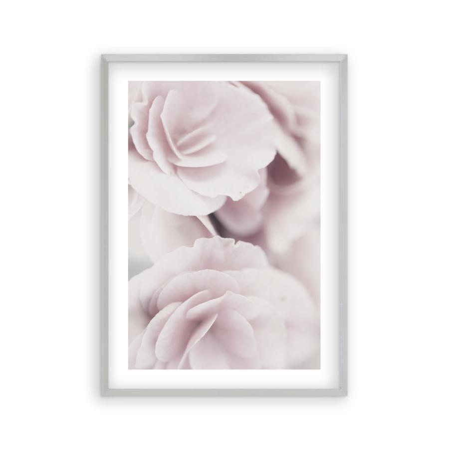 Dusty Rose Print - Blim & Blum