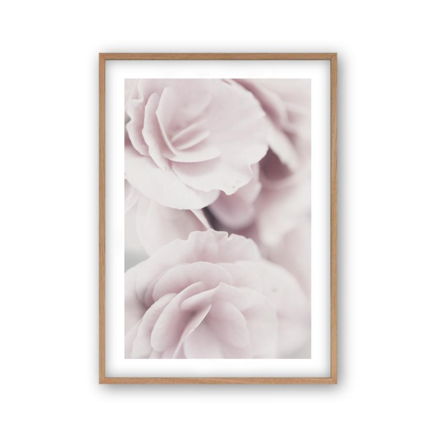 Dusty Rose Print - Blim & Blum