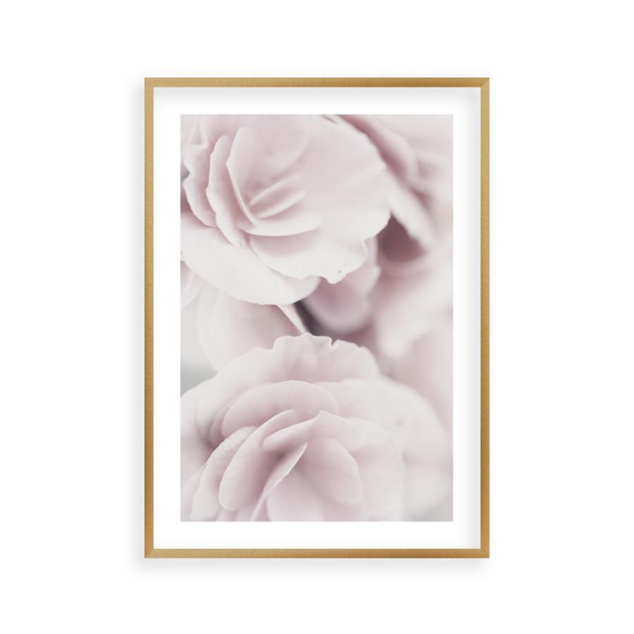Dusty Rose Print - Blim & Blum