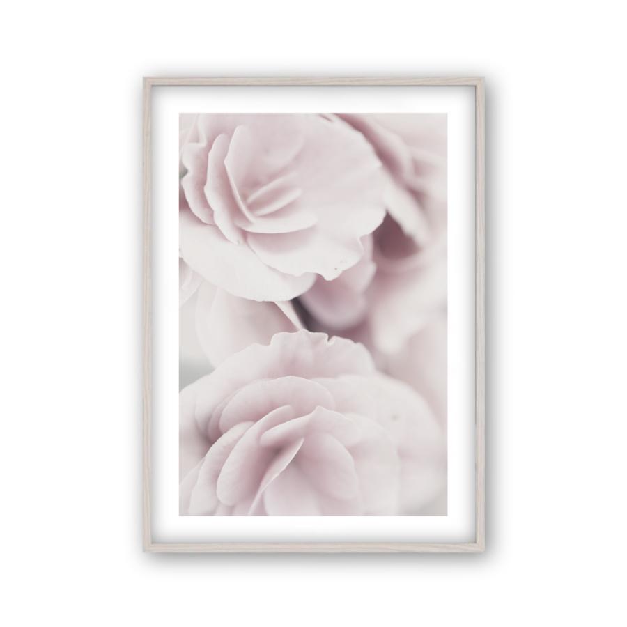 Dusty Rose Print - Blim & Blum