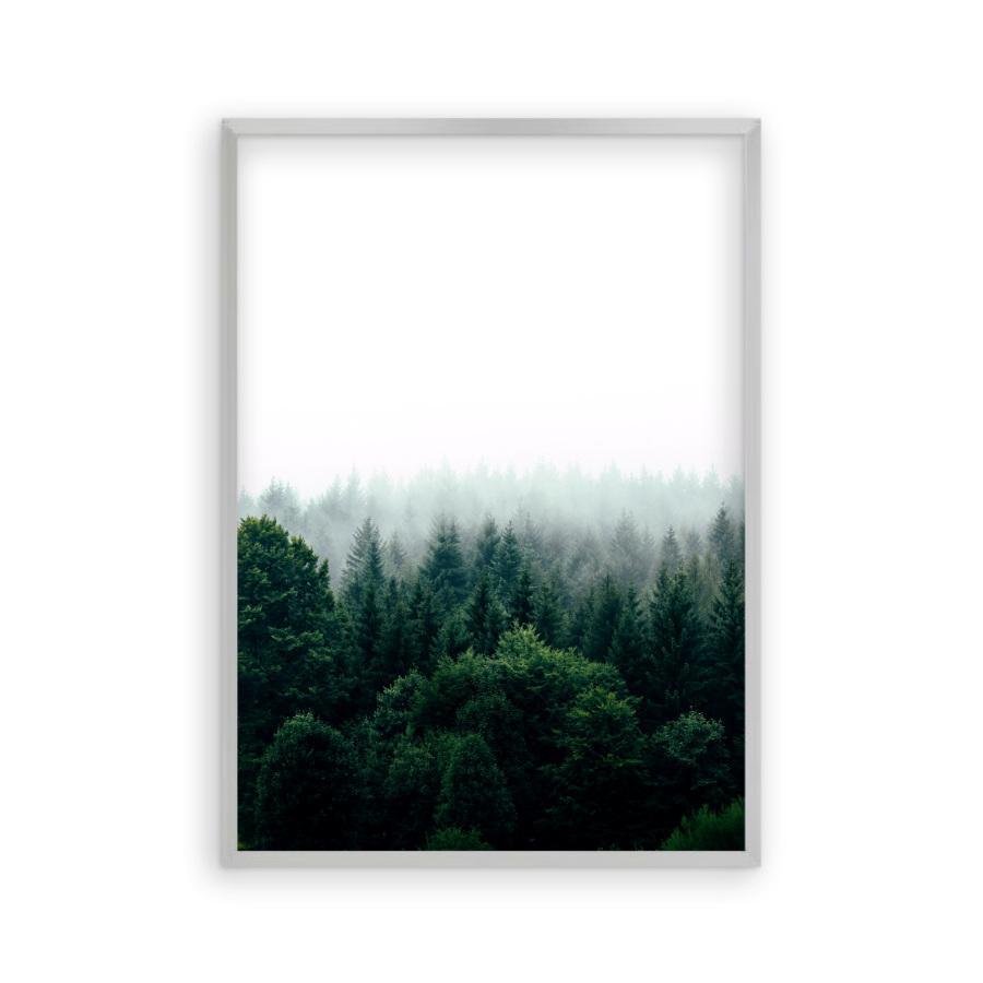 Forest Fog Print - Blim & Blum