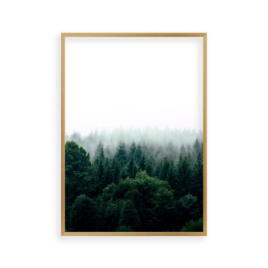 Forest Fog Print - Blim & Blum