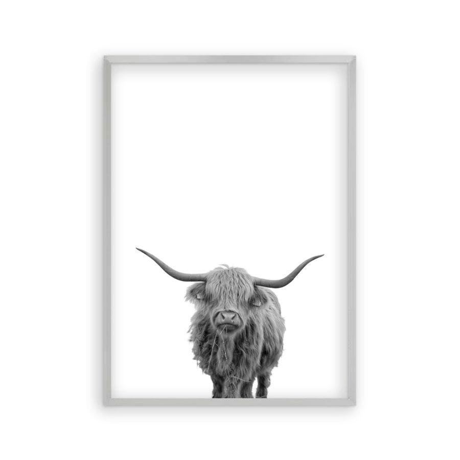 Highland Cow Print - Blim & Blum