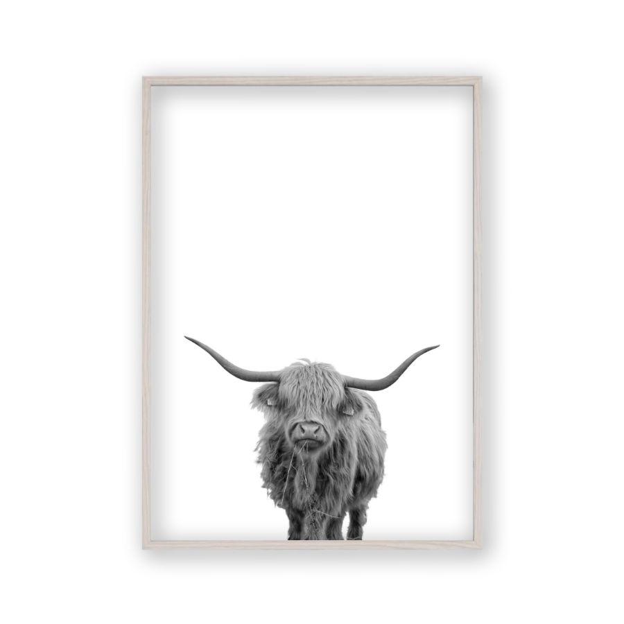Highland Cow Print - Blim & Blum