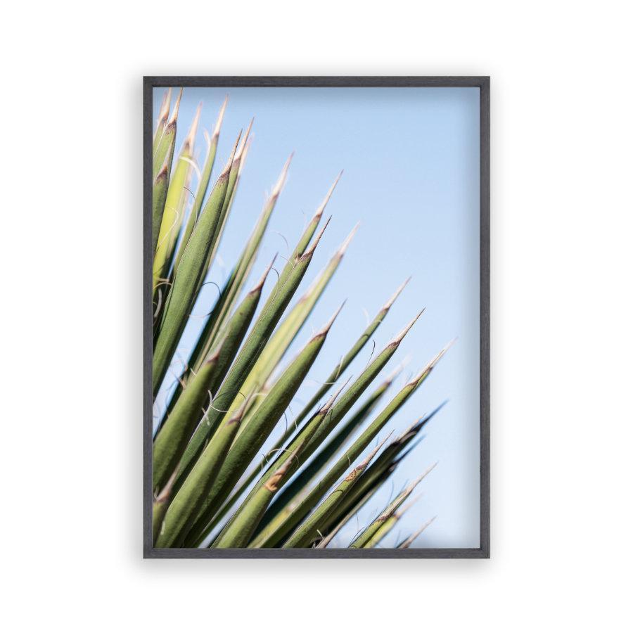 Palm Leaves Print - Blim & Blum