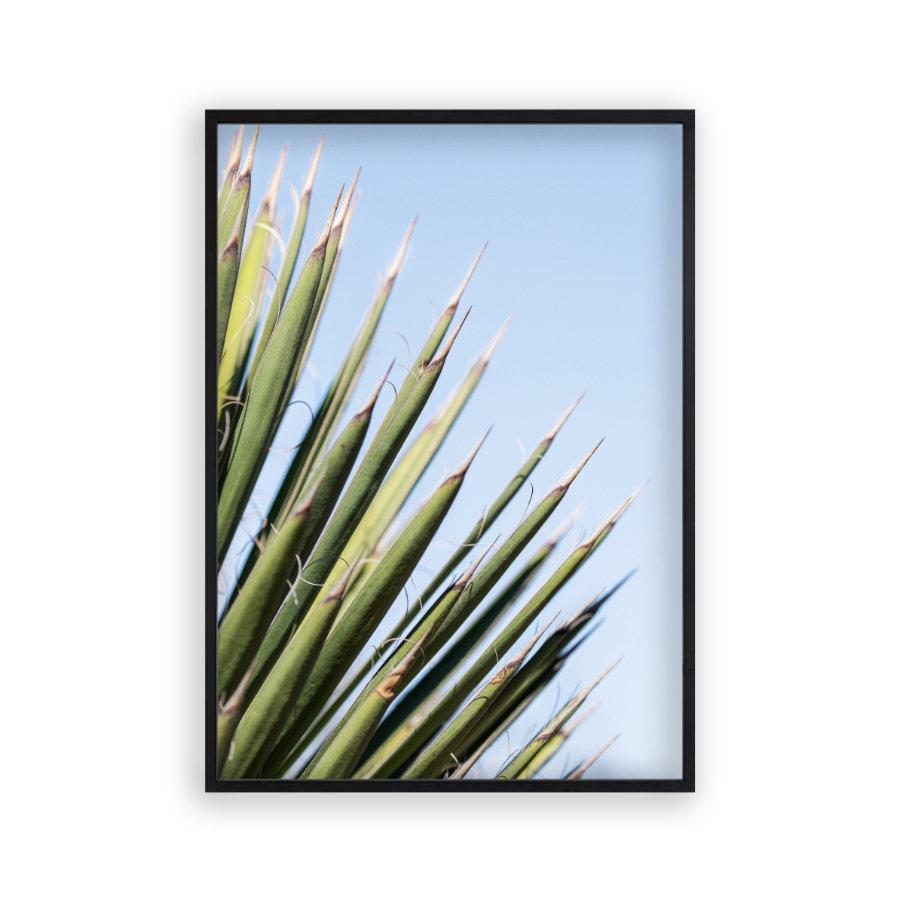 Palm Leaves Print - Blim & Blum
