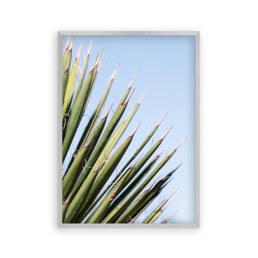 Palm Leaves Print - Blim & Blum