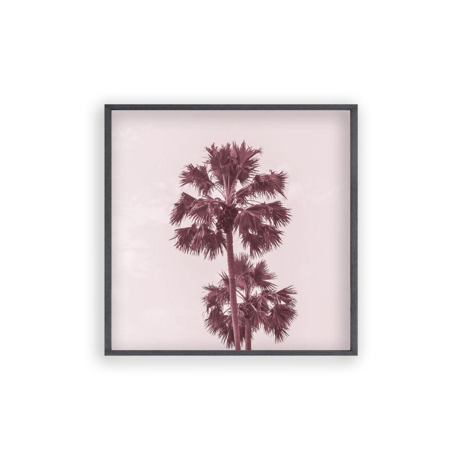 Palm Trees Pink Print - Blim & Blum