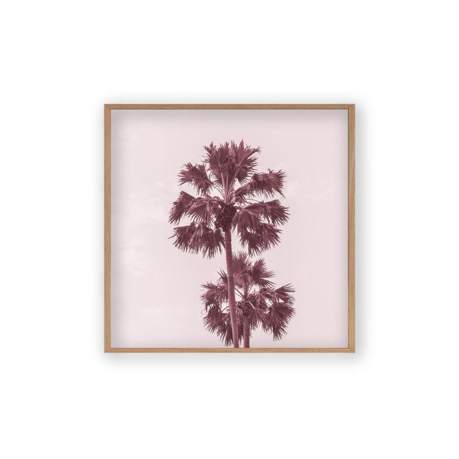 Palm Trees Pink Print - Blim & Blum