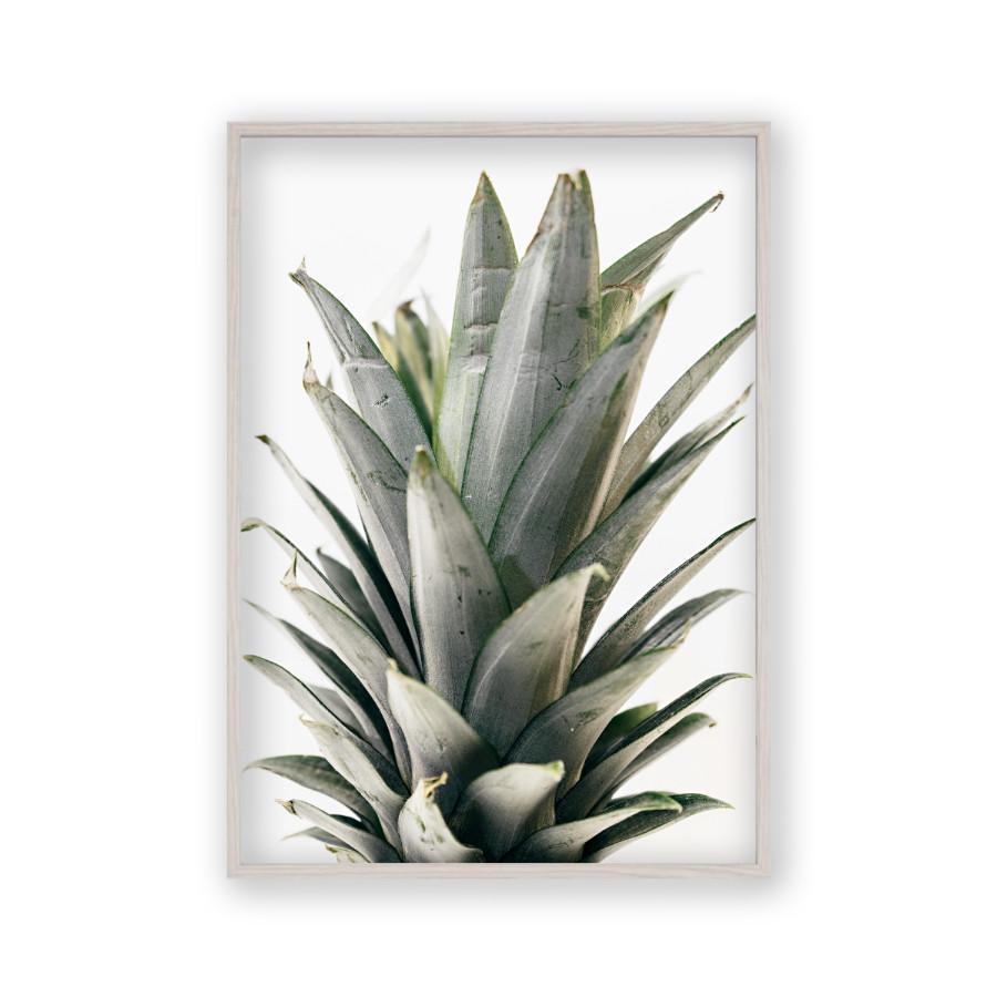 Pineapple Crown Print - Blim & Blum