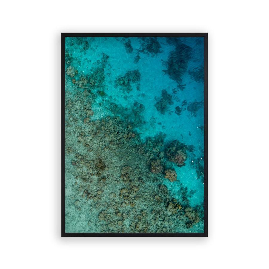 Sea Coral Reef Print - Blim & Blum