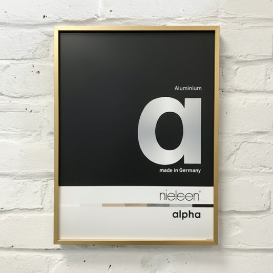 Nielsen Alpha Brushed Champagne Gold Frame