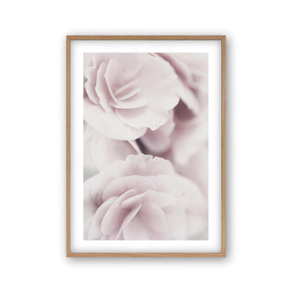Dusty Rose Print - Blim & Blum