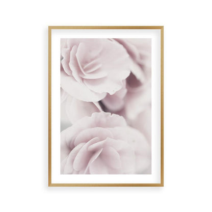 Dusty Rose Print - Blim & Blum
