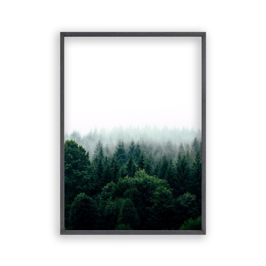 Forest Fog Print - Blim & Blum