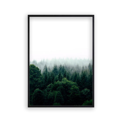 Forest Fog Print - Blim & Blum