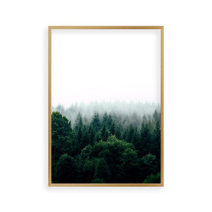 Forest Fog Print - Blim & Blum