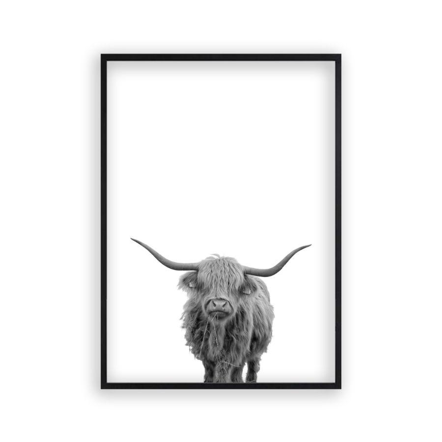 Highland Cow Print - Blim & Blum