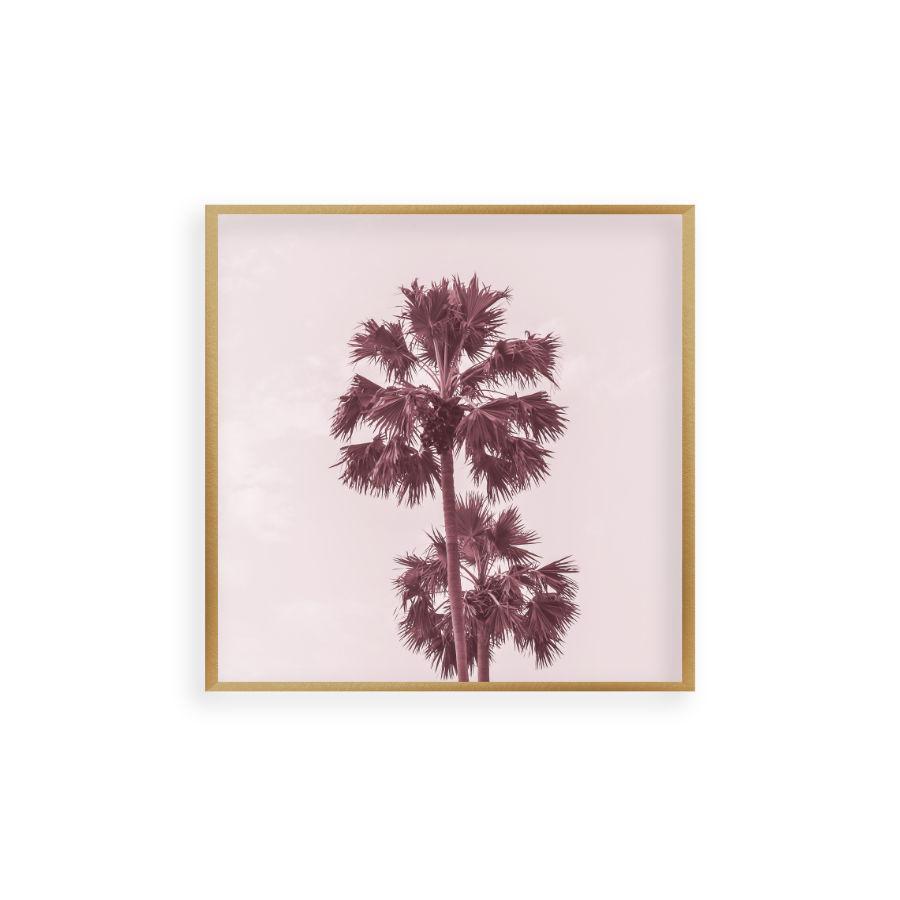 Palm Trees Pink Print - Blim & Blum